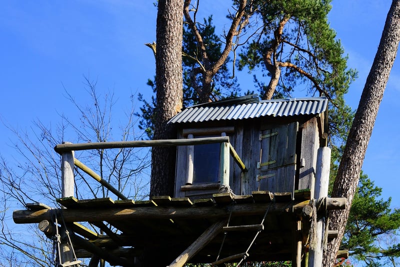 Treetop Retreats